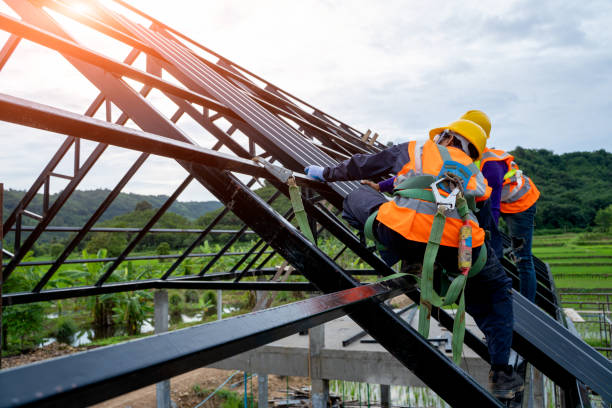 Best Metal Roofing Contractor  in Omaha, NE