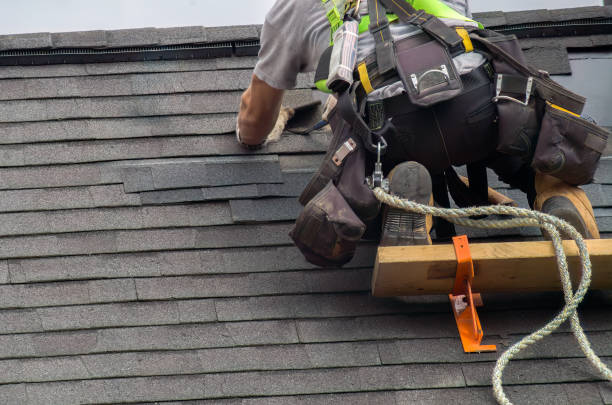 Quick and Trustworthy Emergency Roof Repair Services in Omaha, NE